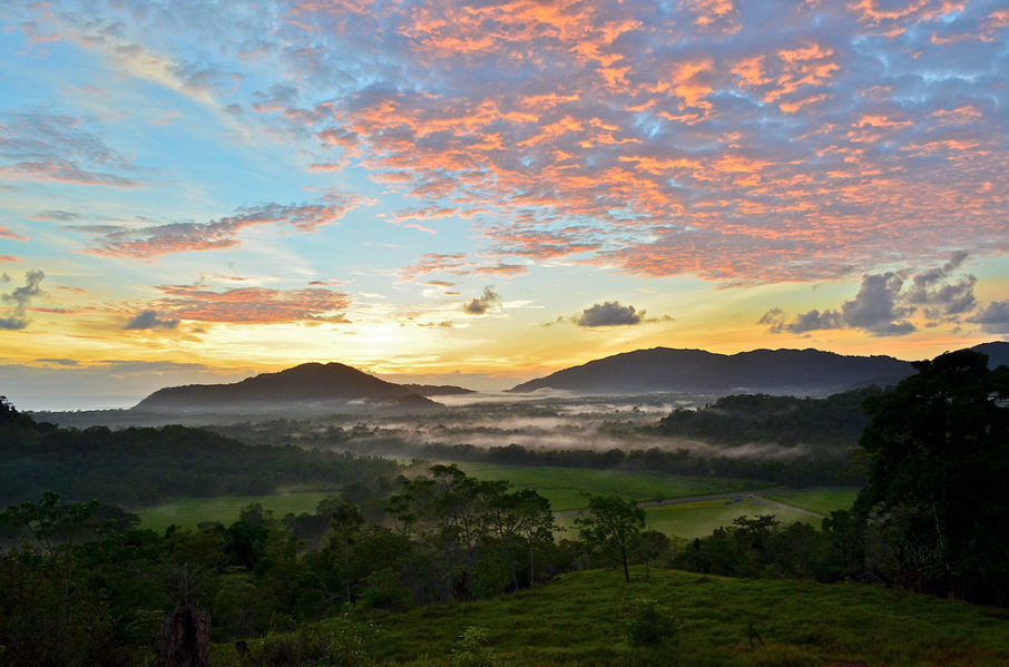 Daintree Tea Company Destination Daintree